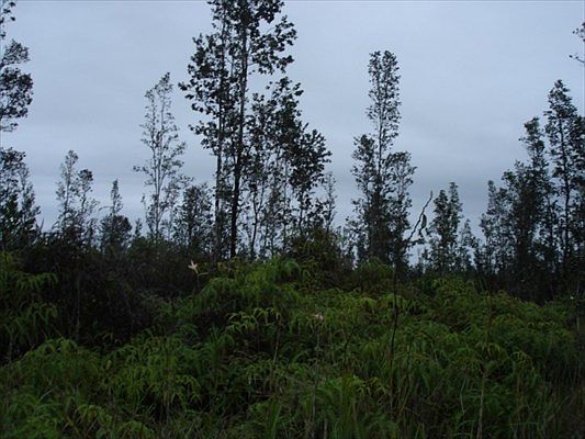 1st image of Road 9 Koloa Maoli Lot 5506