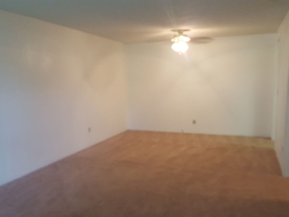 Large Living Room/Dining Area