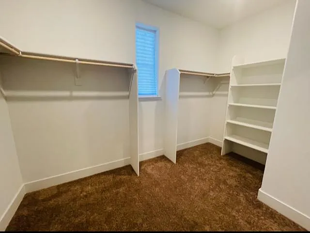 1538 Plumas Dr — Photo 7