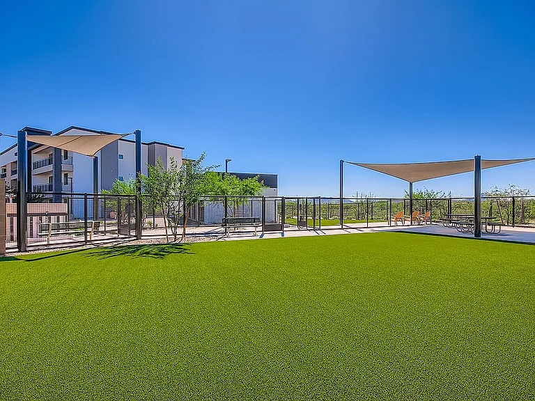 Dog Park