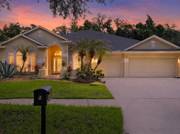 15020 Eaglerise Dr, Lithia, FL 33547
