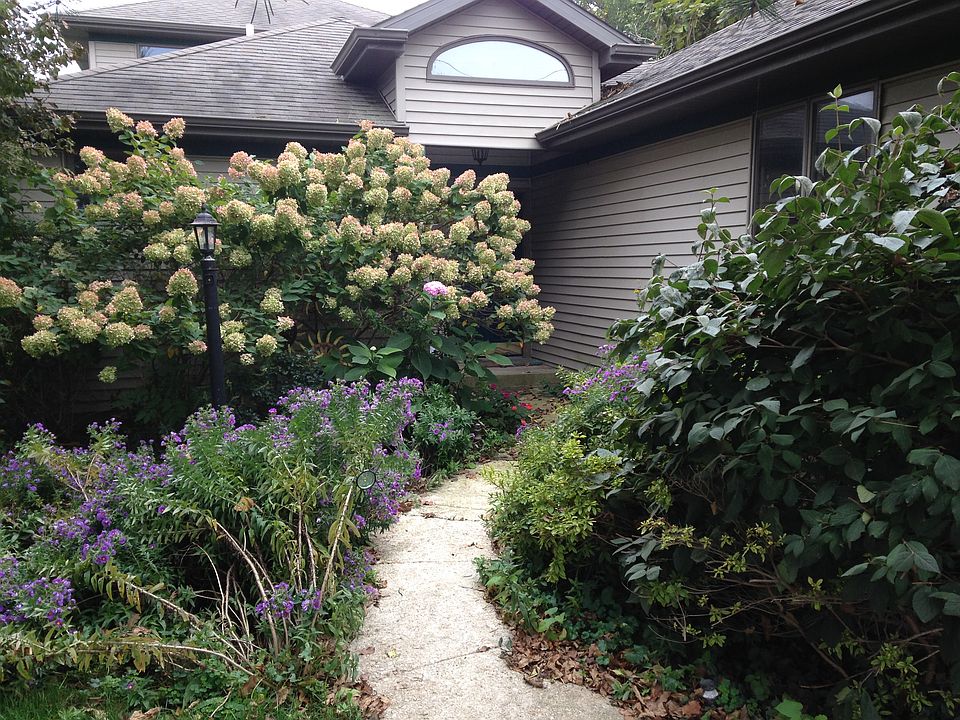 Professional landscaping