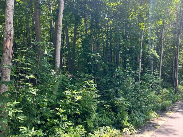 0 Tally Ho Winter Park Rd, Lake Of Bays, ON P1H 2J6