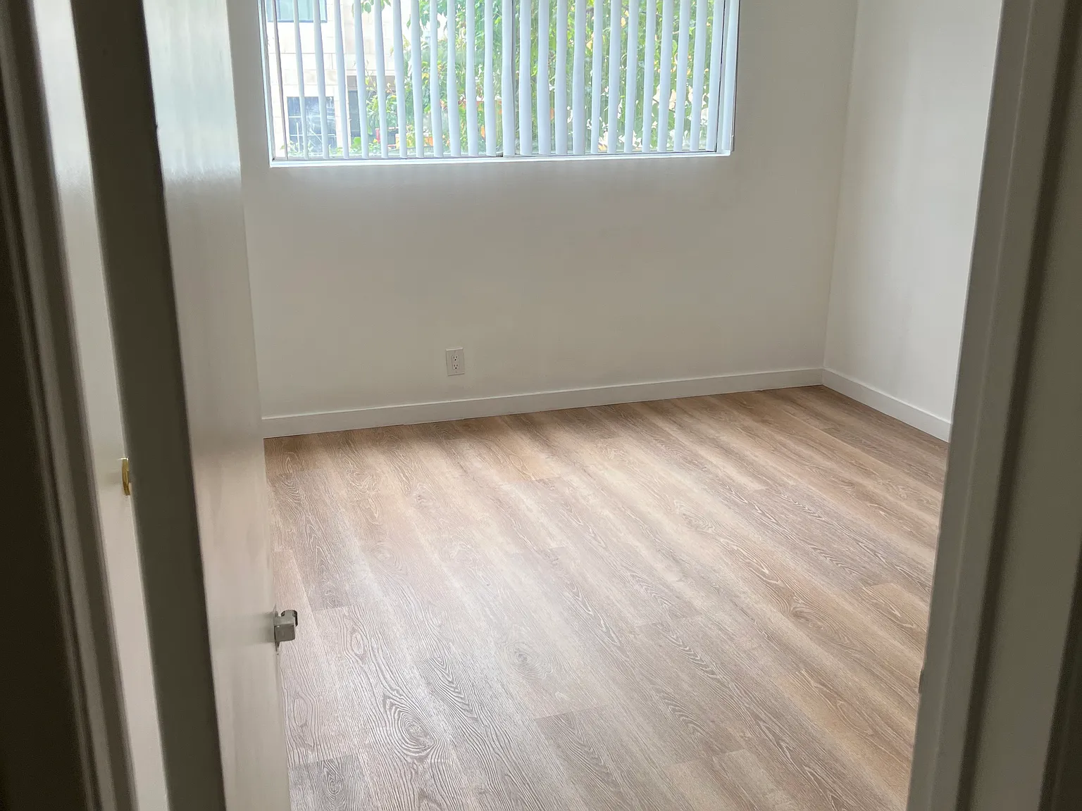 1 bed, 800 sqft, $2,000 — Photo 3