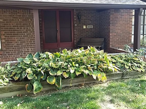 2nd image of 603 Grand Mesa Ct