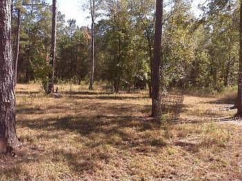 1st image of 1242 Breezewood Ln