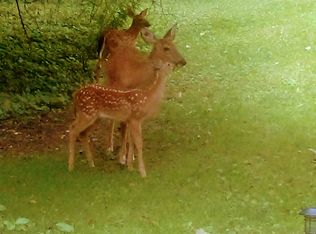 2675 Dutton Rd, Rochester Hills, MI 48306