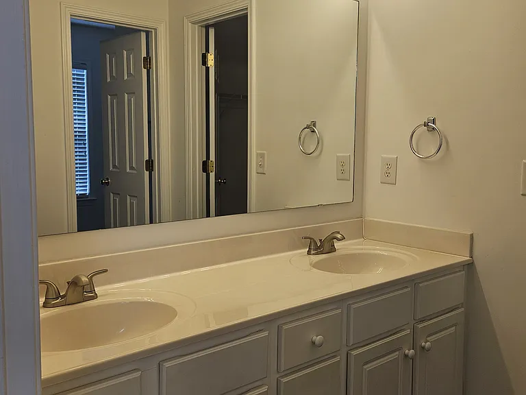 Primary Bath - vanity