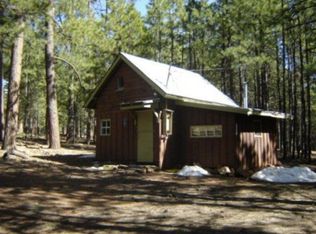 687 Trout Springs Rd, Forest Lakes, AZ 85931