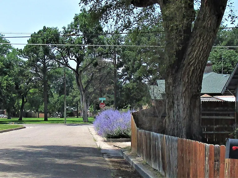 402 W Adams Ave — Photo 12