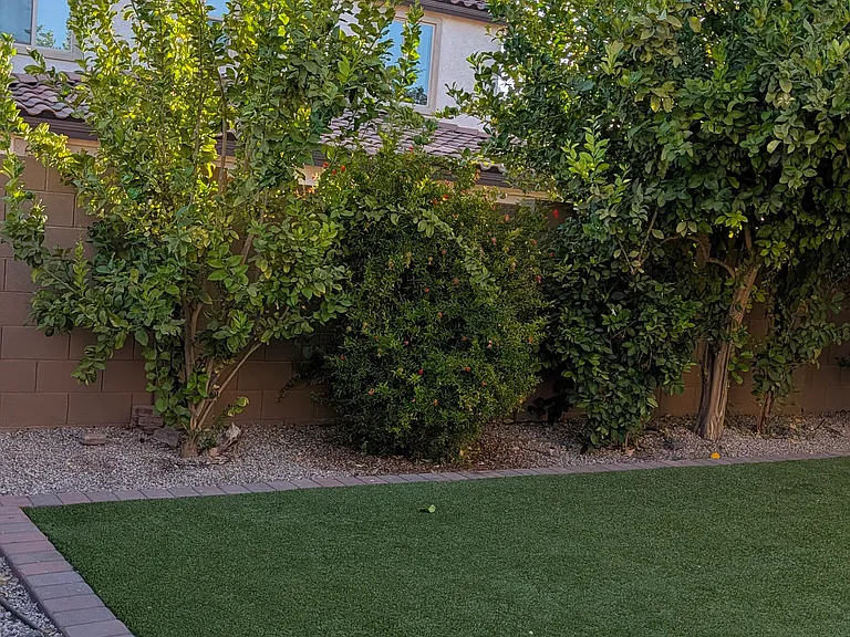 22084 N 98th Dr — Photo 34