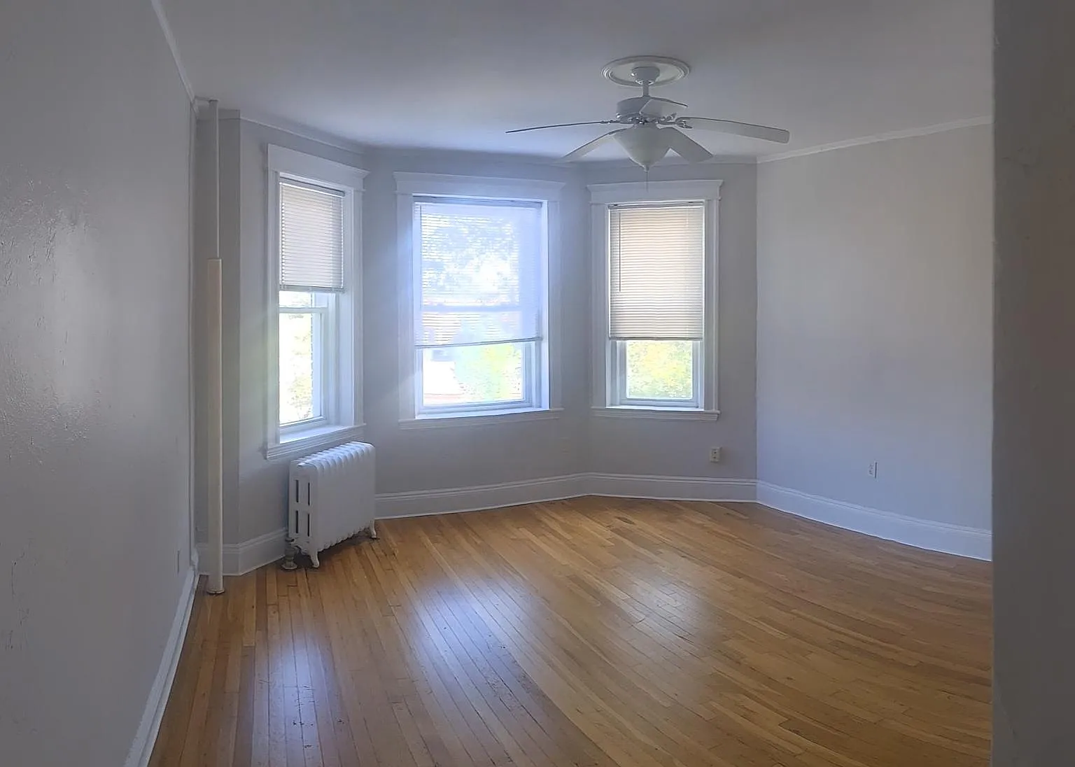 1 bed, 541 sqft, $2,500 — Photo 2