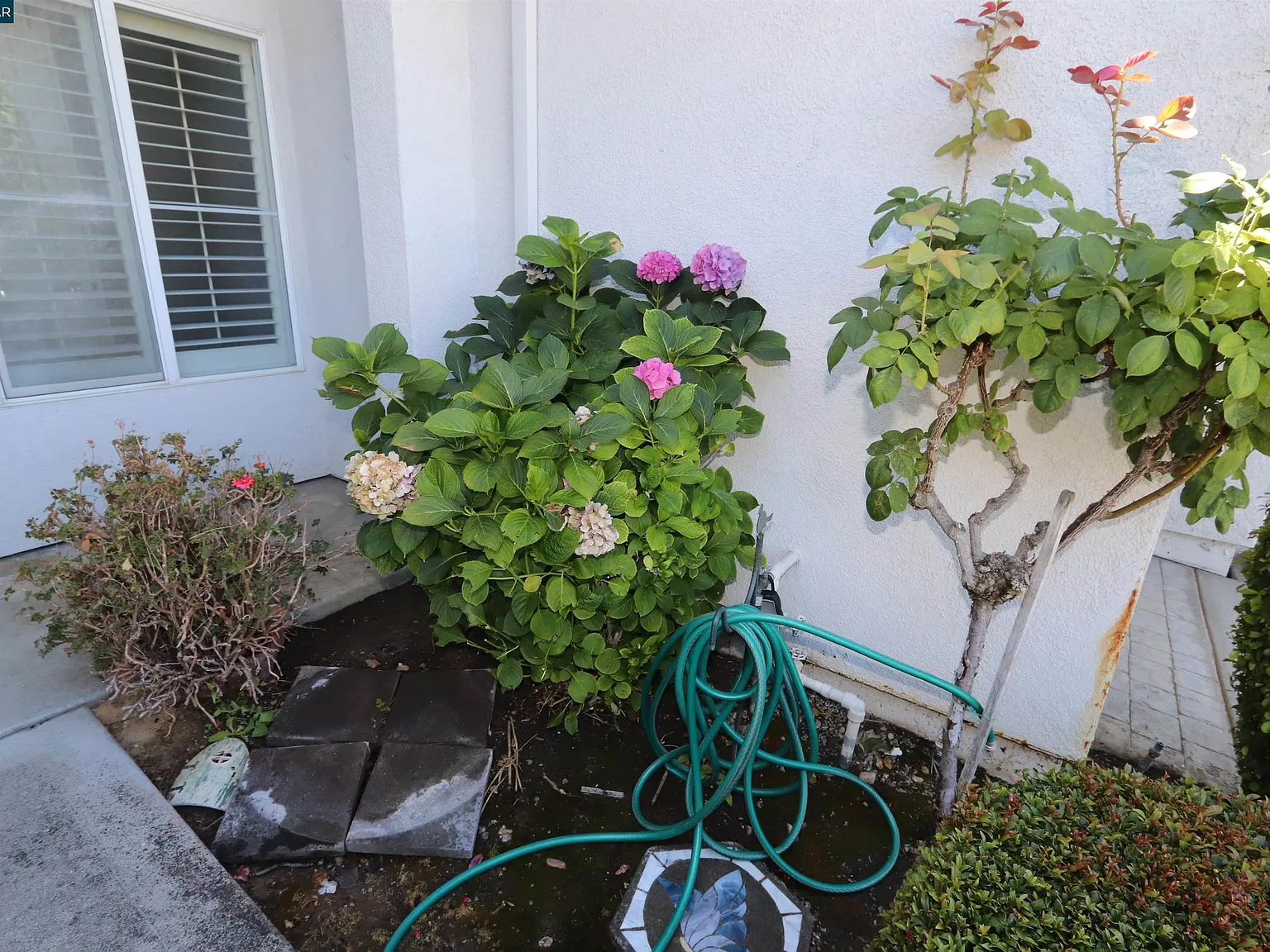 3 bed, 1998 sqft, $3,000 — Photo 4