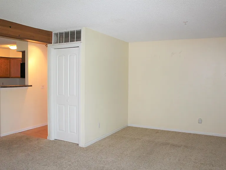 2892 Shadow Creek Dr #110 — Photo 5