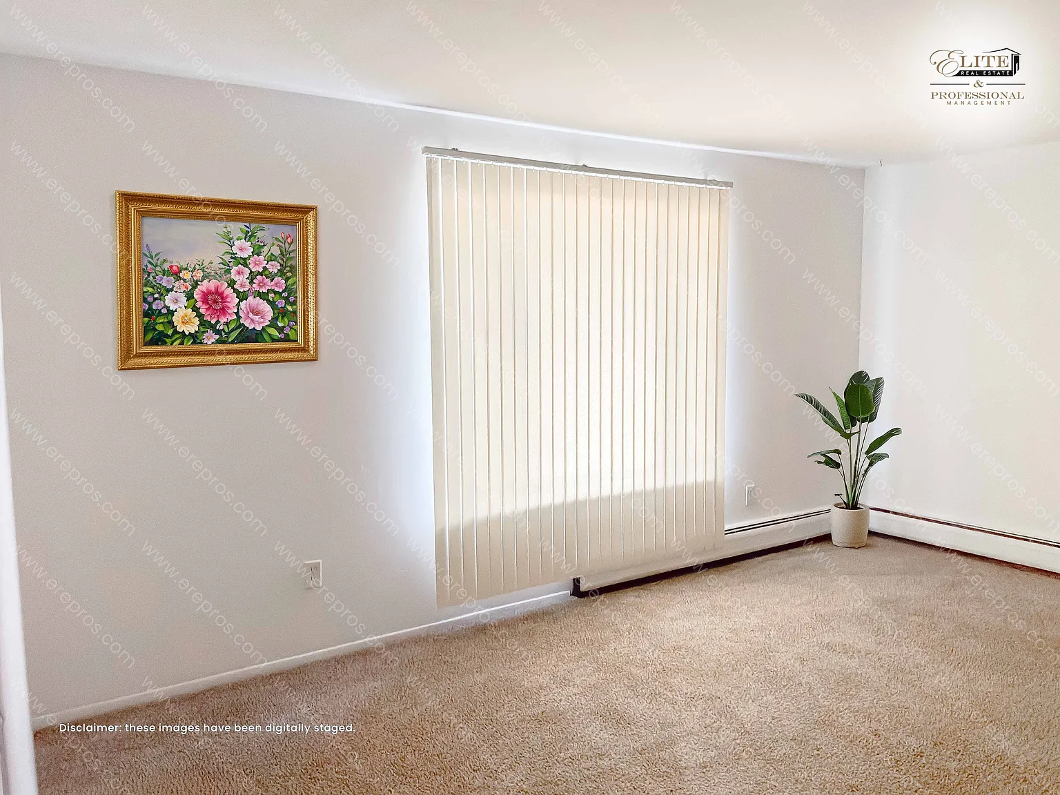 431 Pine St — Photo 4