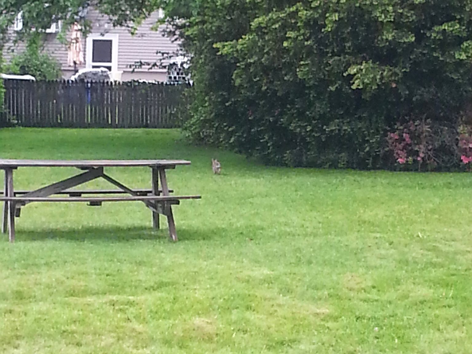 29 Tennyson St, Worcester, MA 01610 Zillow