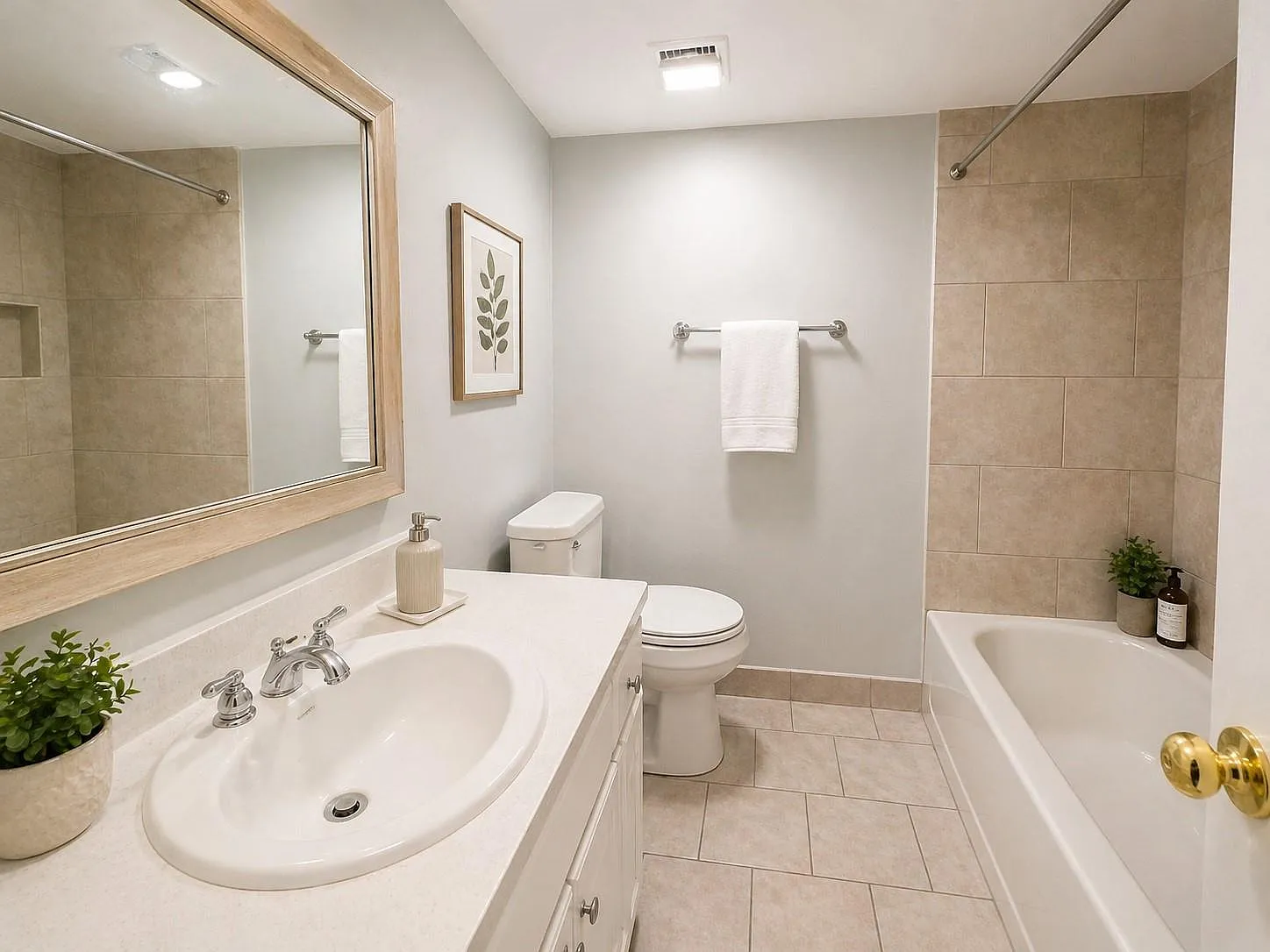 2 bed, 1.0 bath, 800 sqft, $900 — Photo 4