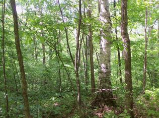 LOT 4 Haddick Rd, Springbrook, WI 54875