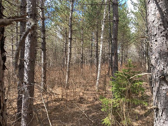 3rd image of ON SWAMP LAKE RD