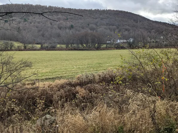 0 Irish Hill Rd Parcel B, Delhi, NY 13753