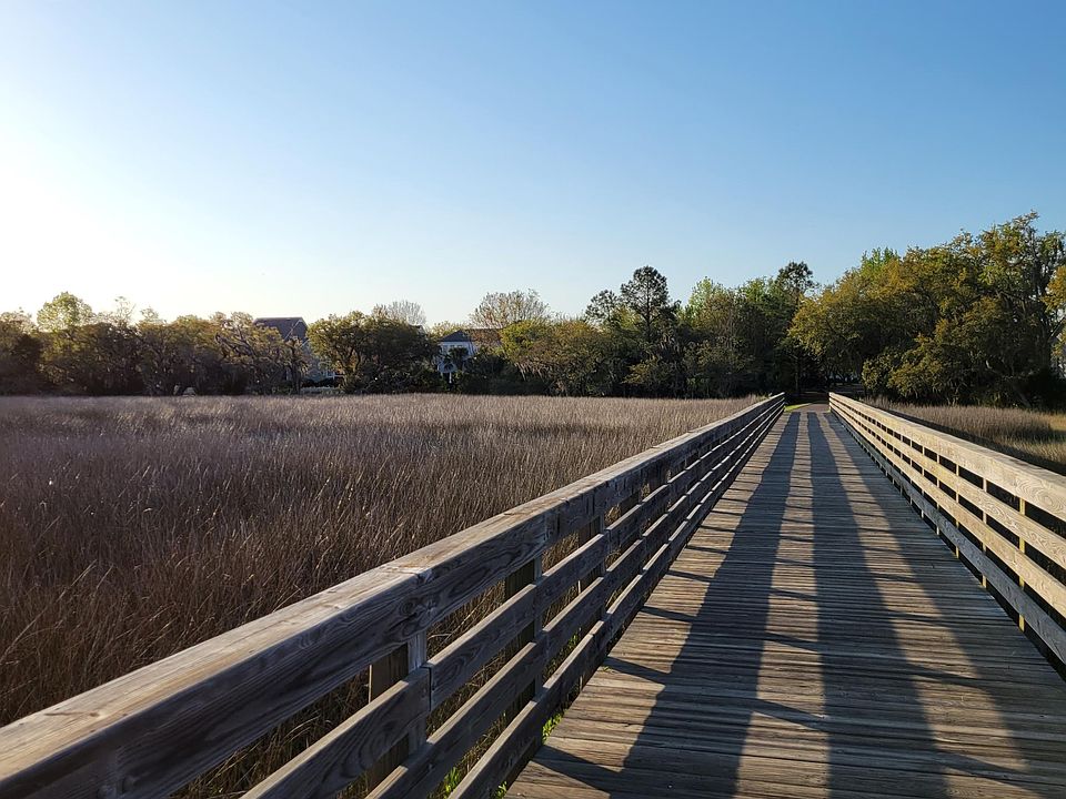 Daniel Island Trails!