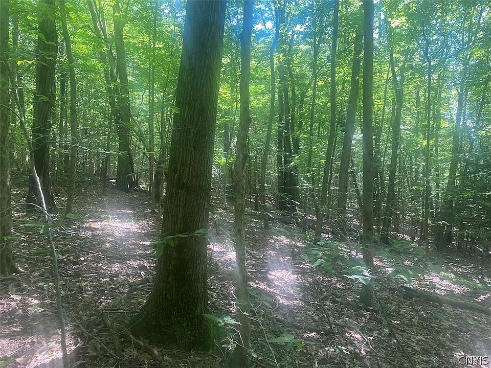 25th image of Putt Brook Rd