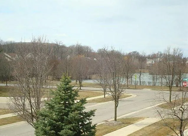 16872 Dover Dr — Photo 14