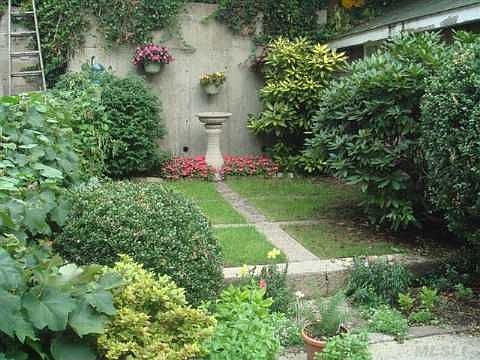 Garden Backyard