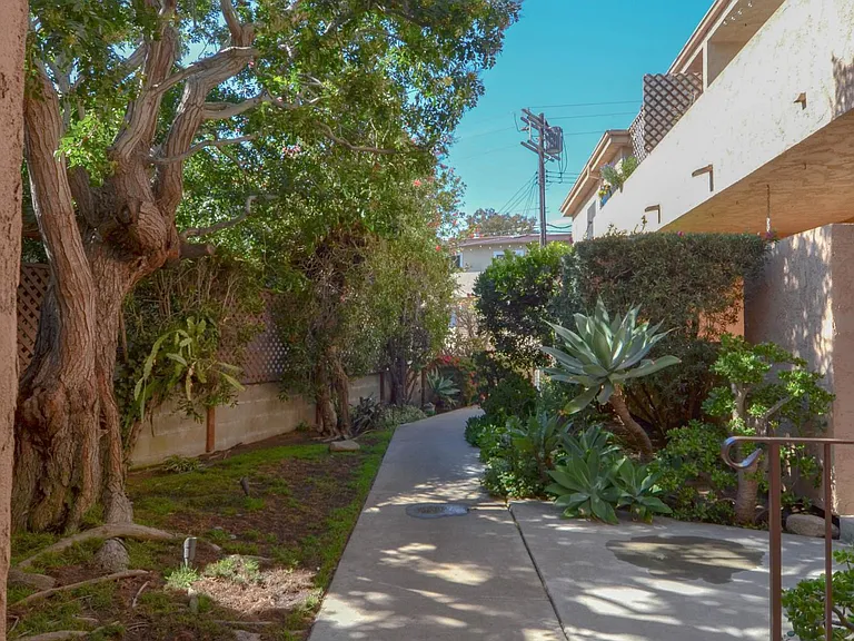 7607 Saint Bernard St #3 — Photo 5
