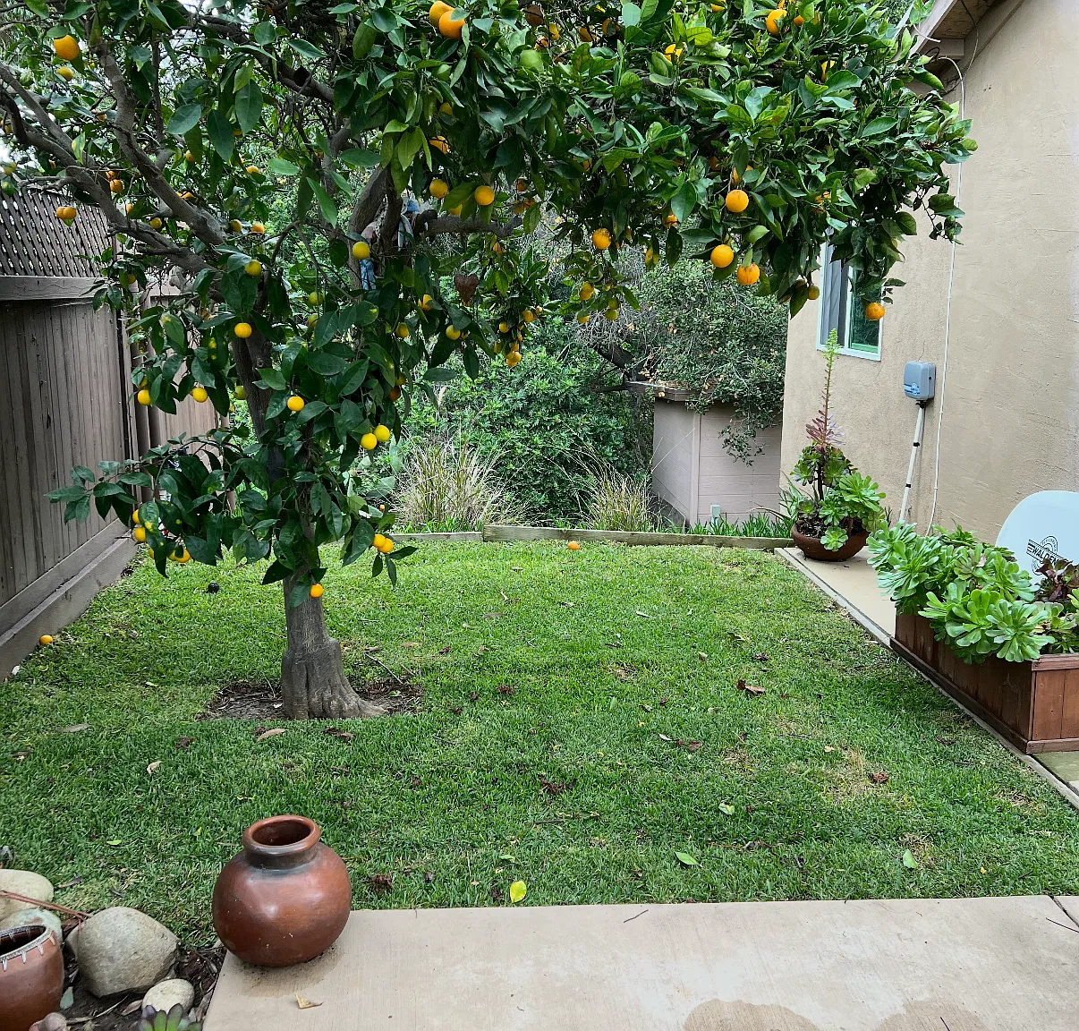 Studio, 600 sqft, $1,590 — Photo 2