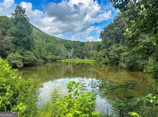 1565 Shoal Creek Rd, Clermont, GA 30527