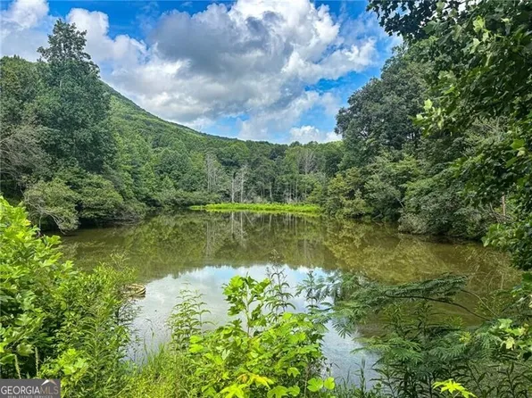 1565 Shoal Creek Rd, Clermont, GA 30527