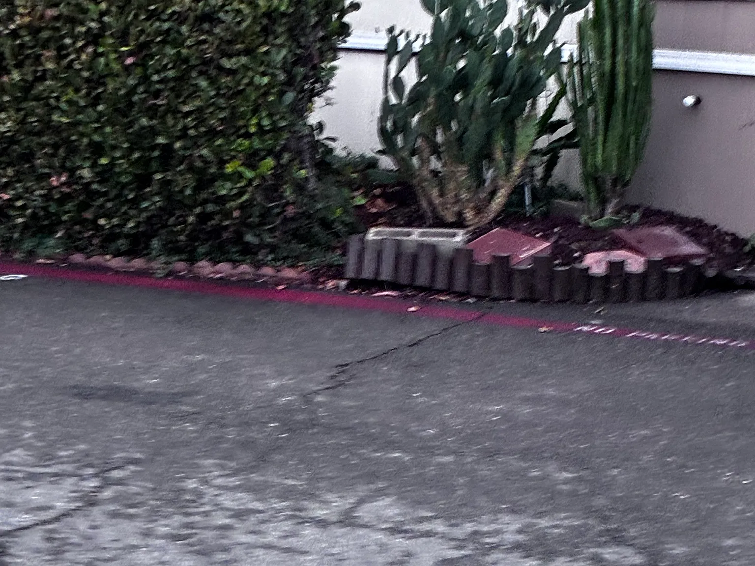 Warner Ave, Huntington Beach — Photo 3