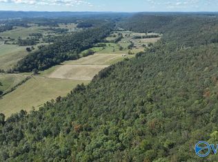 7 County Road 223, Collinsville, AL 35961