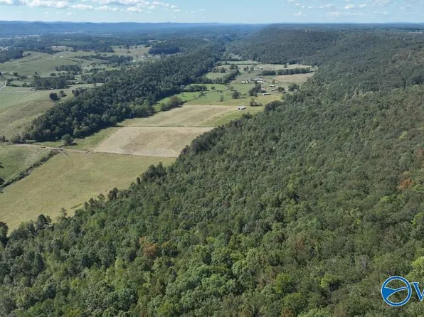 7 County Road 223, Collinsville, AL 35961