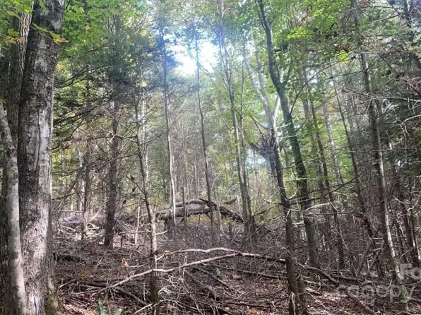 2758 Gouges Creek Rd, Spruce Pine, NC 28777