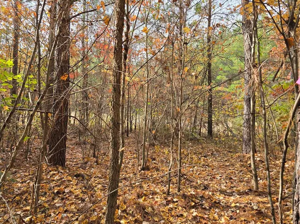 LOT 2 W Robbins Rd, Robbins, TN 37852