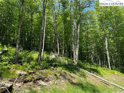 ES 16 Eagle Feather, Banner Elk, NC, 28604