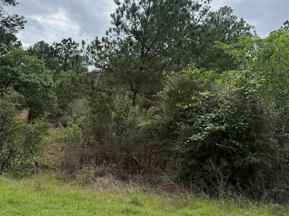 1360 N Kaupo Dr, Bastrop, TX 78602