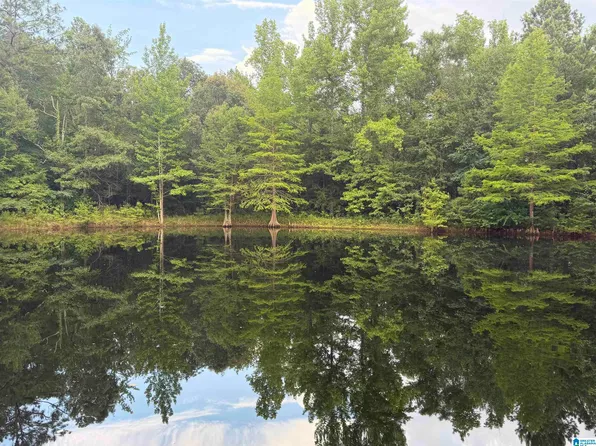 299 County Road 443, Verbena, AL 36091