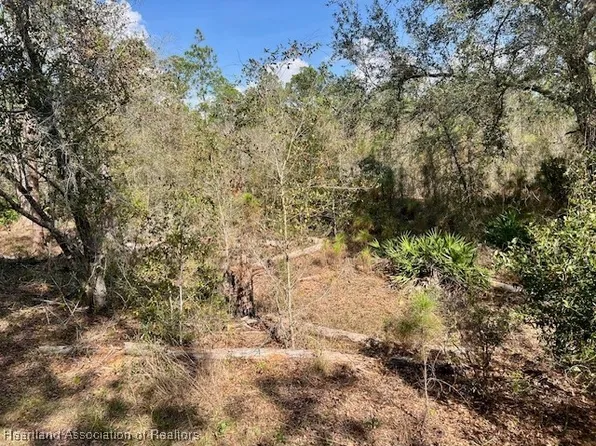 1849 S Griese Rd, Avon Park, FL 33825