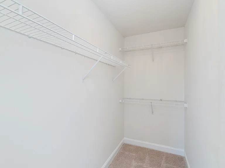 4803 White Poplar Way — Photo 13