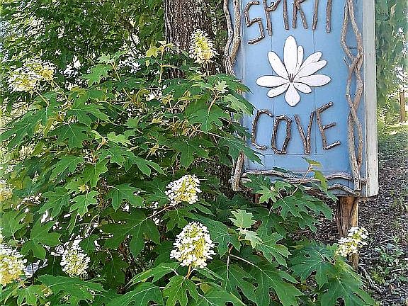 Spirit Cove Community