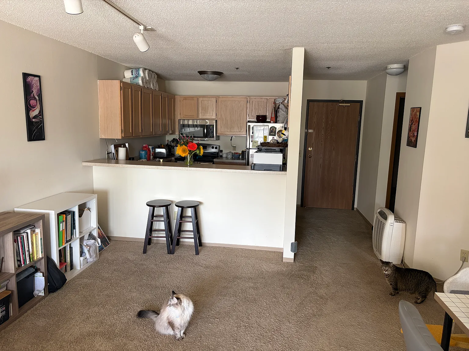 1 bed, 830 sqft, $1,525 — Photo 3