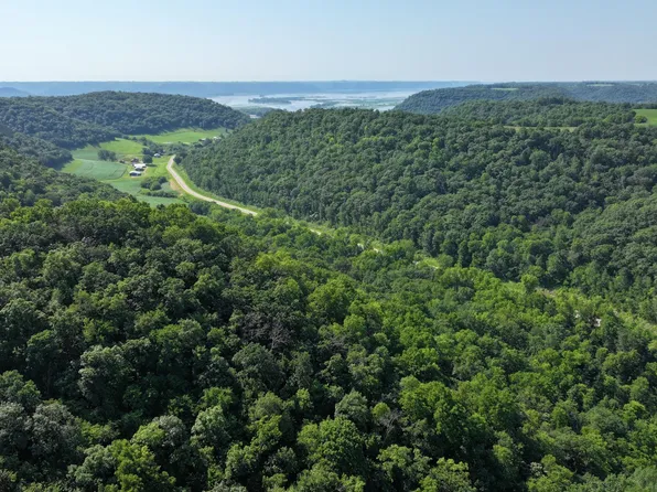 Cty #18, Brownsville, MN 55919