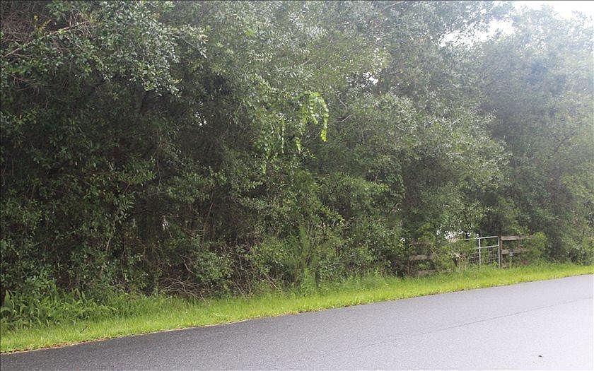 2nd image of 2134 Countryhaven Ln