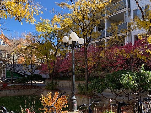 Courtyard north of building