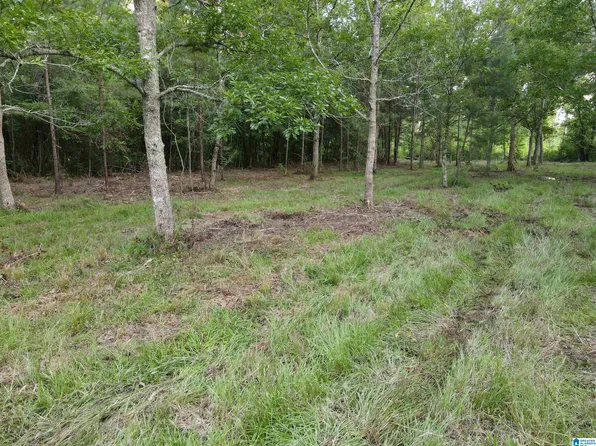 0 State Highway 22 #30, Rockford, AL 35136