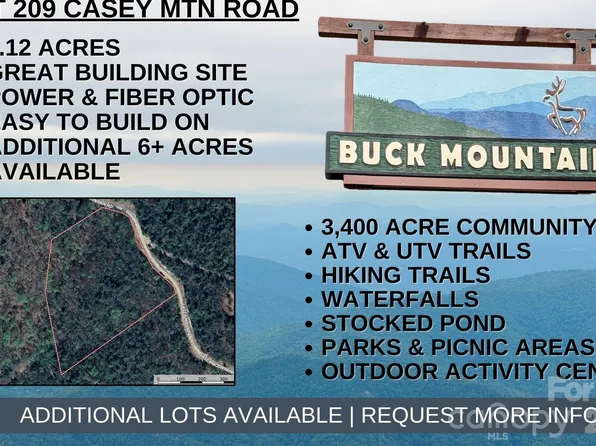 Casey Mountain Rd #209, Purlear, NC 28665
