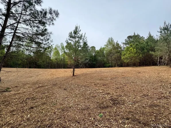 0 W Sprague Junction Rd, Ramer, AL 36069
